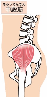 中殿筋ストレッチ